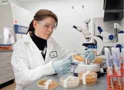 PM1409-Plant-Photo3 PM1409-Plant-Photo3