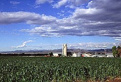 FieldWithSilo FieldWithSilo