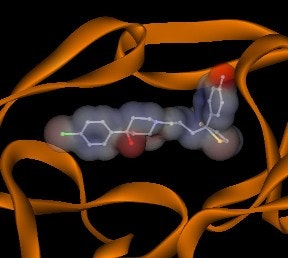 1660337205356 Molecularimagehivtherapy
