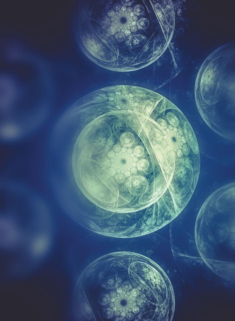 1660601217996 Riskmanagementforregenerativemedicinedistributionmain