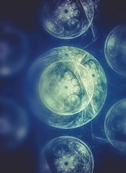 1660601217996 Riskmanagementforregenerativemedicinedistributionmain 1660601217996 Riskmanagementforregenerativemedicinedistributionmain