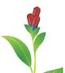 1660601277116 0408 Green Thumb 1660601277116 0408 Green Thumb