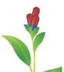 1660601277116 0408 Green Thumb 1660601277116 0408 Green Thumb