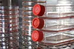 1663366537699 Spinnovation Main 1663366537699 Spinnovation Main