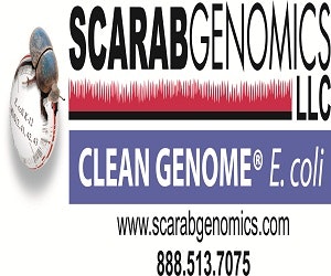 scarablogoPhwebhirez300x250