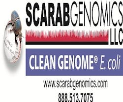 1663366683264 Scarablogophwebhirez300x250 1663366683264 Scarablogophwebhirez300x250