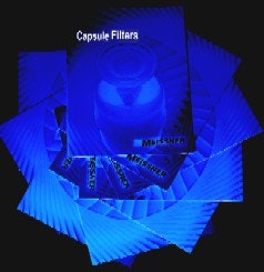 1663367560411 Meissner Capsulebrochure