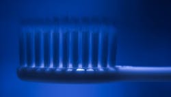 1663606608728 Shutterstock1441843214 1663606608728 Shutterstock1441843214