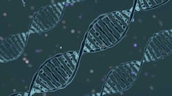 Screen Shot 2022 12 20 At 10 55 18 Am 63a1daf382558 Screen Shot 2022 12 20 At 10 55 18 Am 63a1daf382558