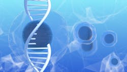 Shutterstock 1022645353 640a228070d9b Shutterstock 1022645353 640a228070d9b