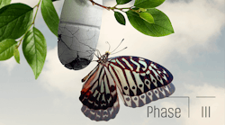 Microsoft Teams Image (2) Microsoft Teams Image (2)