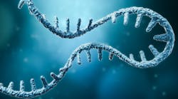 Shutterstock 1907619631 Shutterstock 1907619631