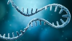 Shutterstock 1907619631 64f0ad794692f Shutterstock 1907619631 64f0ad794692f