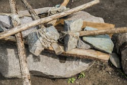 655b714de9ed0a001e382481 Shutterstock 536611126 655b714de9ed0a001e382481 Shutterstock 536611126