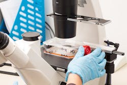 658da757cd0b54001e0c687b Shutterstock 537411163 658da757cd0b54001e0c687b Shutterstock 537411163