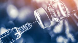 660c2edfb51a57001f1ea2d7 Shutterstock 1046242816 660c2edfb51a57001f1ea2d7 Shutterstock 1046242816