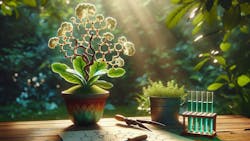 661d8a864335b9001e3c0e8b Microsoftteamsimage 12 661d8a864335b9001e3c0e8b Microsoftteamsimage 12