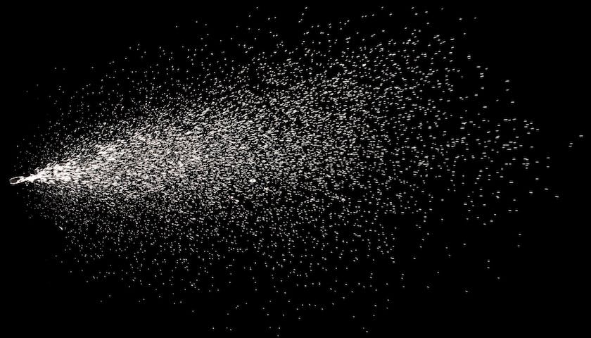 shutterstock_2167038635