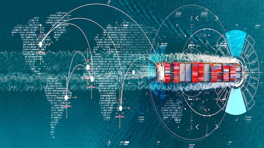 shutterstock_2269435323