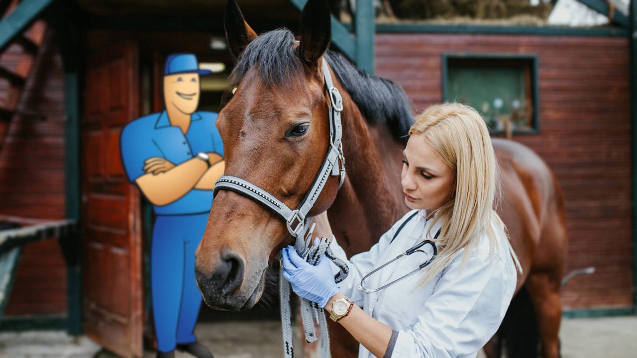 66f1c41ec0a6e18321412c4b 1727120302 Anicellbiotechmrpeasyhorseuse Resized