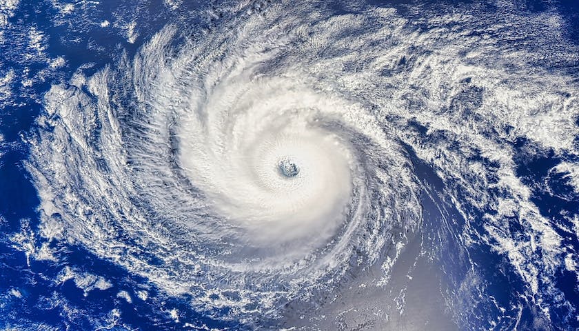 66f430ae74ba01c7f78d3e98 Shutterstock 2491555539