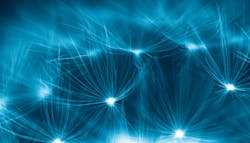 670e86e876a7d9f5173ef924 Shutterstock 214589524 670e86e876a7d9f5173ef924 Shutterstock 214589524