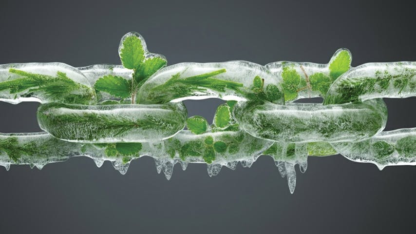 6756e97810feae8a4394d0f3 Pm2411 Hero854x480 Supply