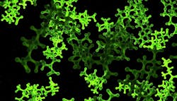 67e565cc36c0d6409d2ddadc Shutterstock 1176407731 67e565cc36c0d6409d2ddadc Shutterstock 1176407731