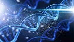 67ebddd9316ca85d764b68c0 Shutterstock 2542543097 67ebddd9316ca85d764b68c0 Shutterstock 2542543097