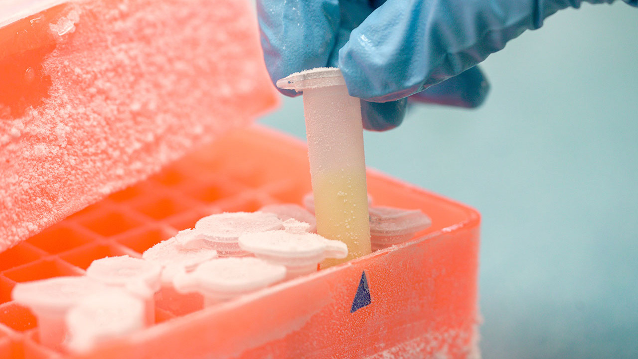 685557146df485e0871508ab 1750262612 Gettyimages899483138 Resized 1280x720