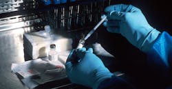 688b73e2e7d8835876d364ff Featured Image 688b73e2e7d8835876d364ff Featured Image