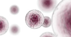 68b779126f6996d60403ba79 Pharma Manufacturingrethinkmabs White Paper 68b779126f6996d60403ba79 Pharma Manufacturingrethinkmabs White Paper