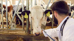 animal_health_brochure