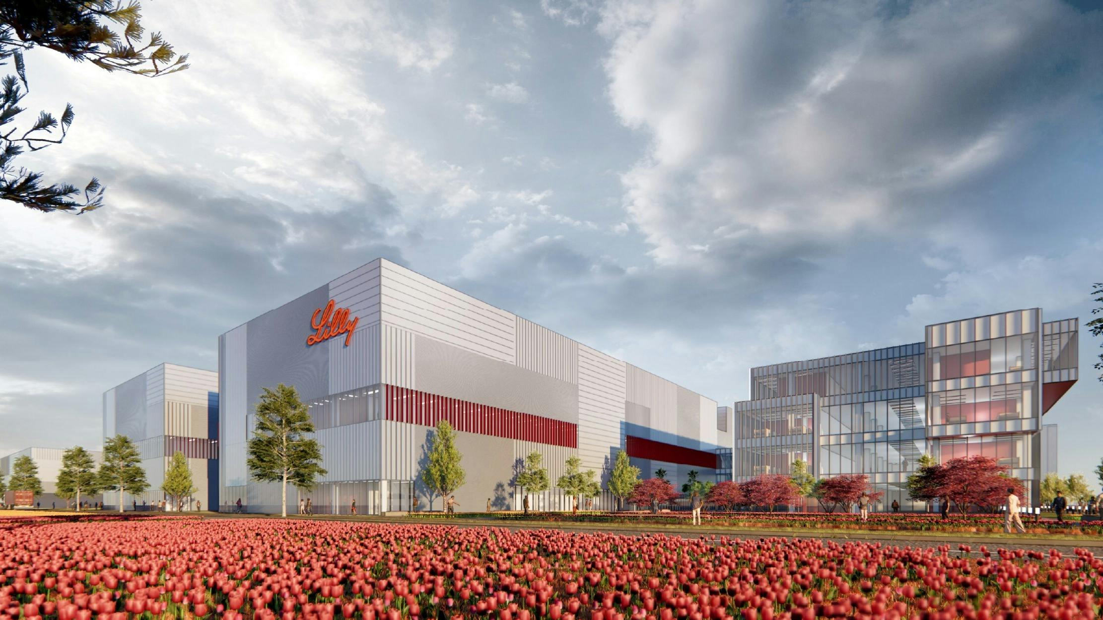 6909d63424ec33bd06999610 Lilly Netherlands Final