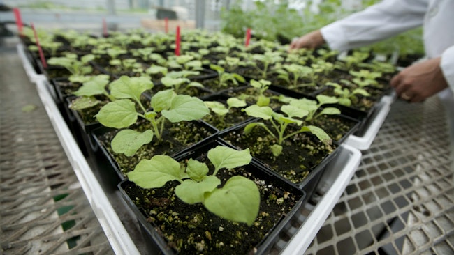 69151b640c5b397b2f04fcde 2171 Plantform 104 High Res