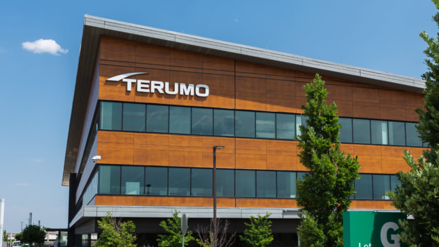 691c855783cdf678eecdaf3e Terumo Final