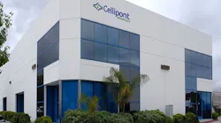 cellipontfinal
