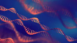 Single strand ribonucleic acid (RNA) molecules. Using RNA as component for disease treatment.