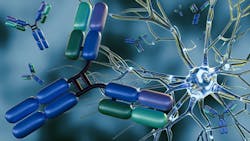 3D renderings of antibody molecules and brain cells 3D renderings of antibody molecules and brain cells