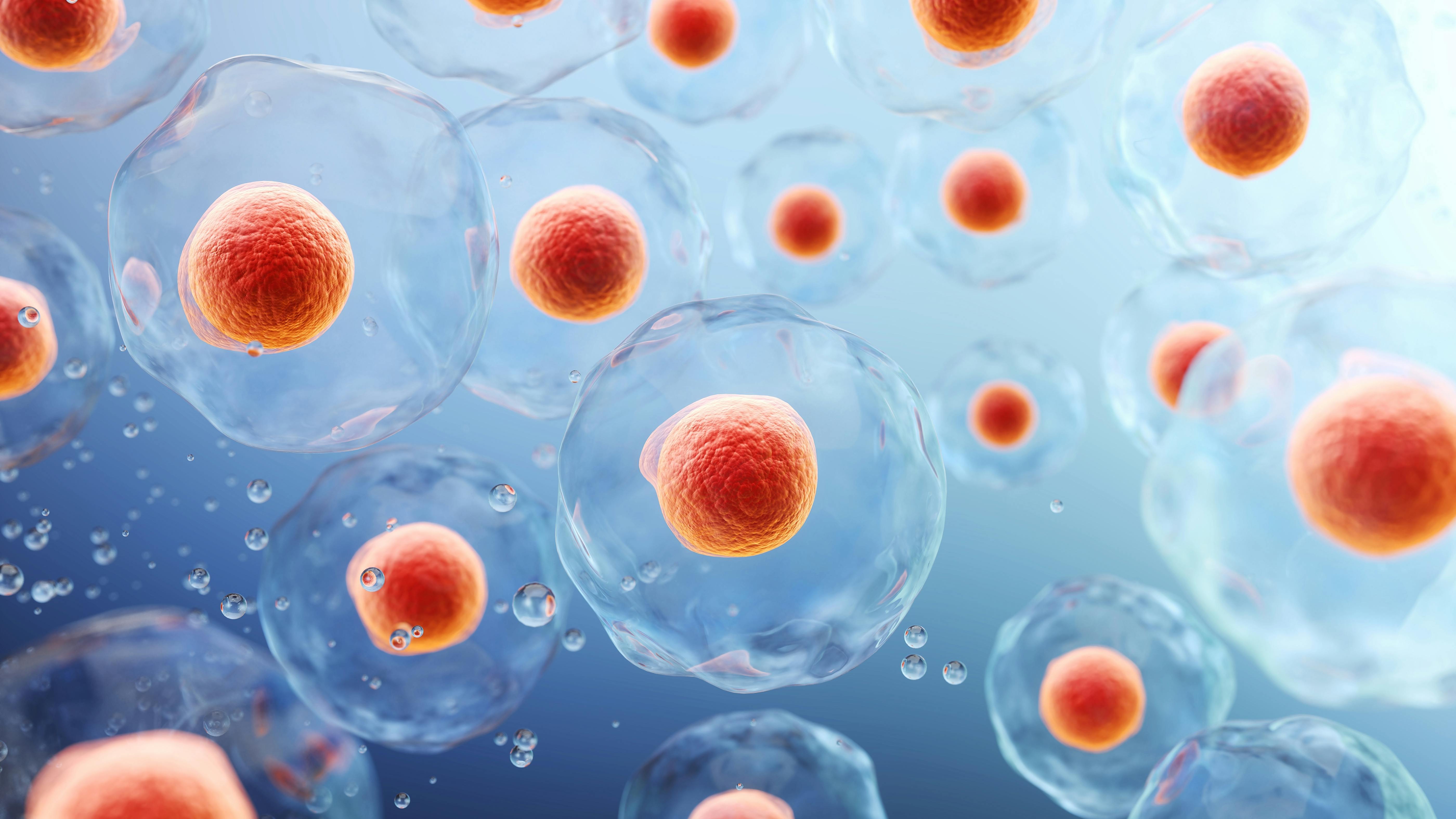 3d rendering of Human cell or Embryonic stem cell microscope background