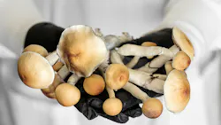 69fd0ab0976516fb8327cc9d Mushroomslabgloves 69fd0ab0976516fb8327cc9d Mushroomslabgloves