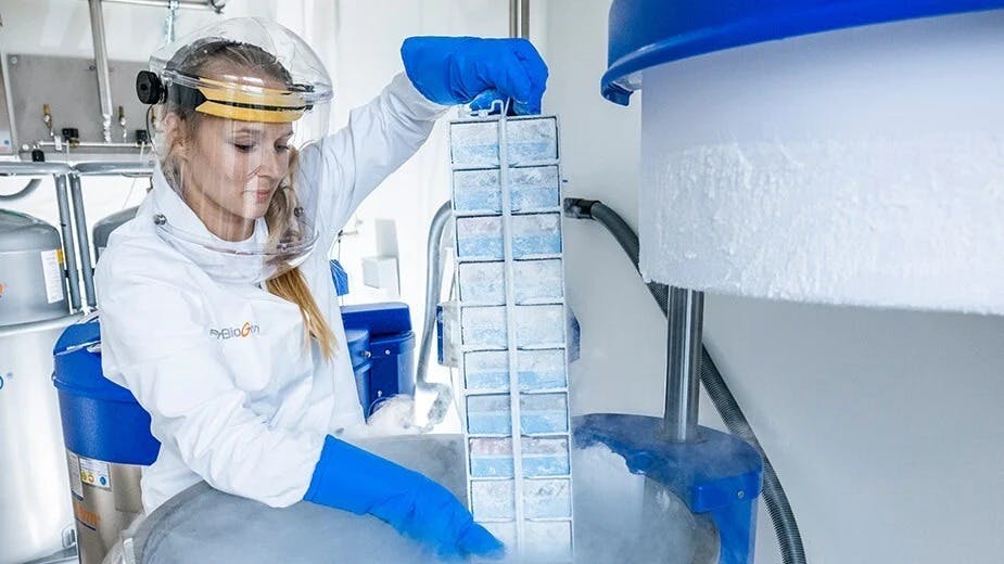 A ProBioGen lab technician in protective gear retrieves a frozen sample rack from a liquid nitrogen cryostorage tank.
