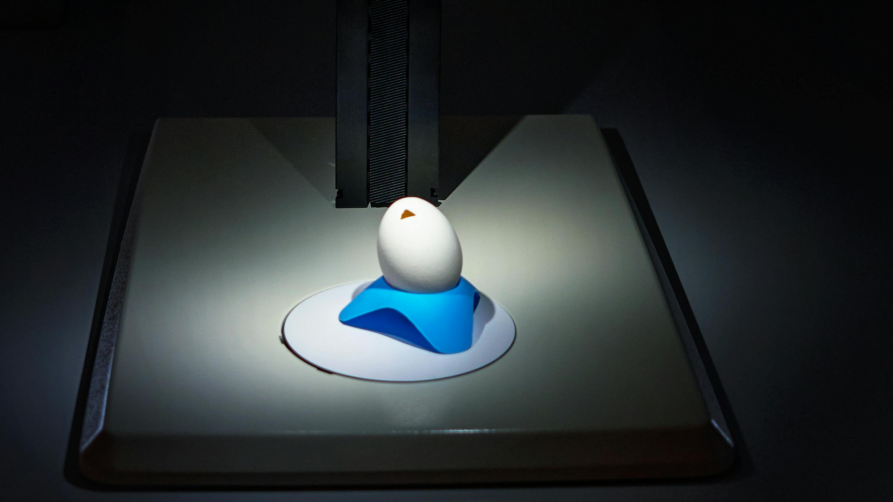 A prepared egg awaits the introduction of engineered primordial germ cells carrying a targeted transgene. Once incorporated into the germline, the modification enables future generations of hens to produce specific recombinant proteins within the egg.