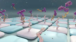 6a464e5638a684959e96f163 Oligonucleotide Shutterstock