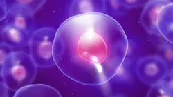 Digital illustration of living biological cells, representing cell culture used in perfusion bioprocessing.