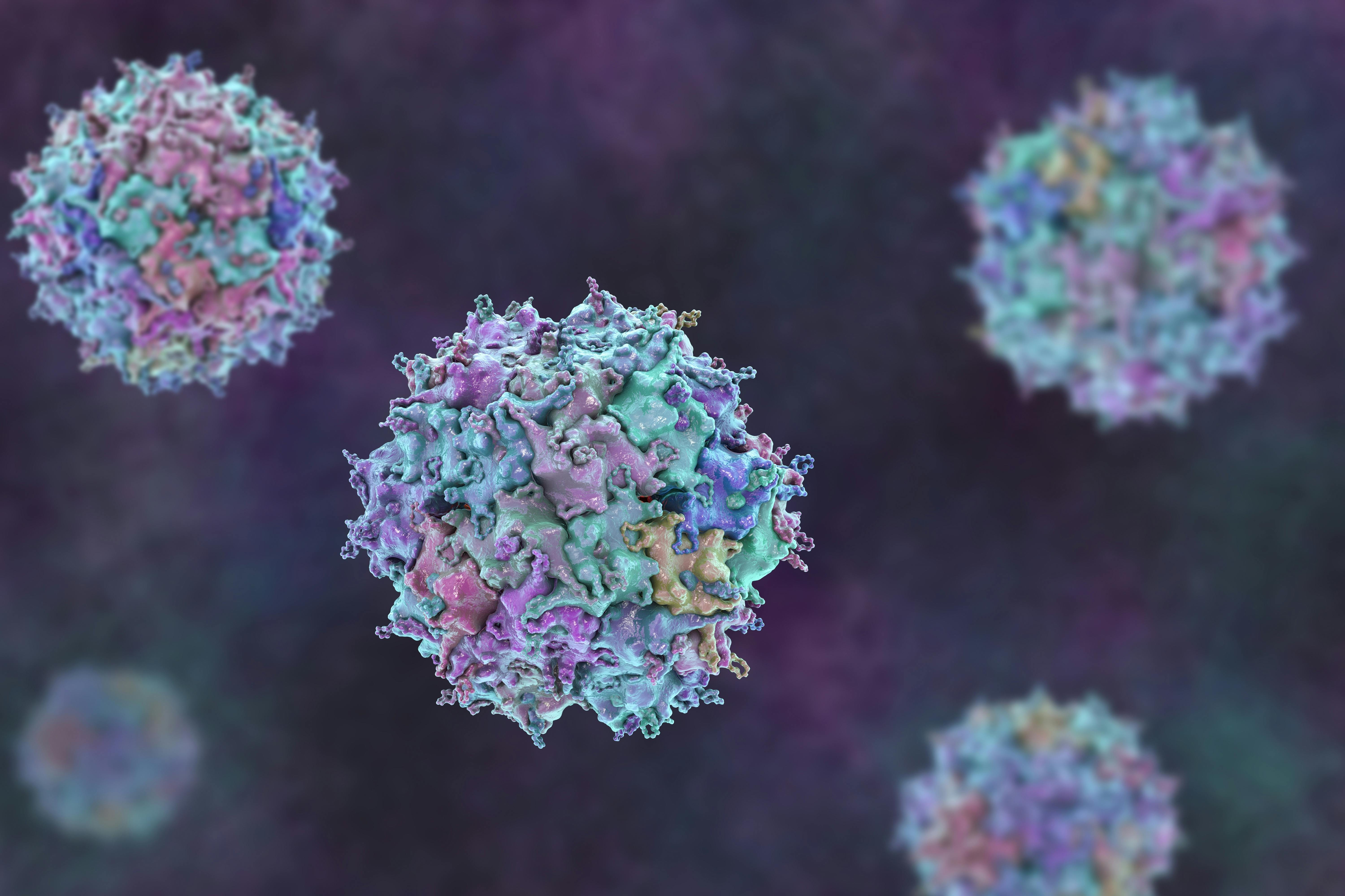 Adeno-associated viruses, 3D illustration shows a non-enveloped icosahedral capsid
