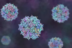Adeno-associated viruses, 3D illustration shows a non-enveloped icosahedral capsid